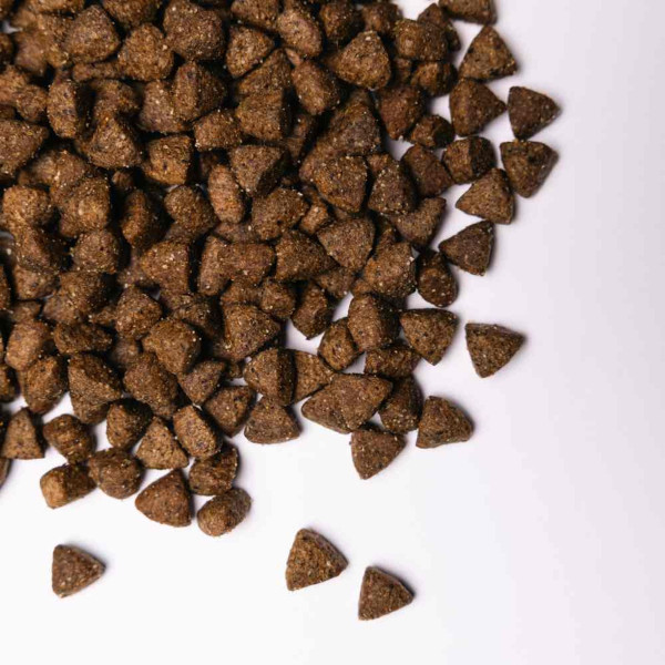Сухий корм для собак Savory All Breed Sterilised Fresh 1 кг - індичка