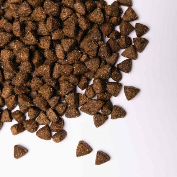 Сухий корм для собак Savory All Breed Sterilised Fresh 12 кг - індичка