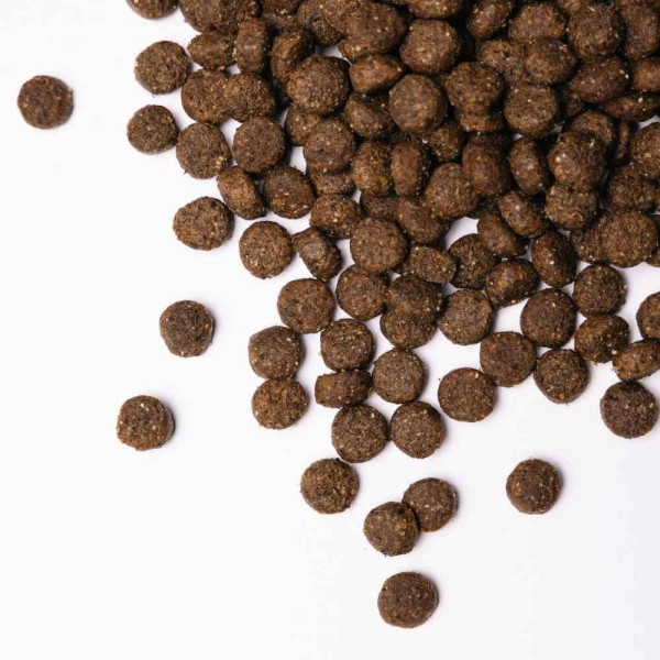 Сухой корм для собак Savory Medium Breed Fresh 12 кг - индейка и ягненок