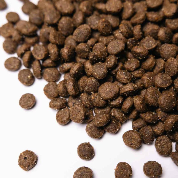 Сухий корм для собак Savory Small Breed 1 кг - ягня