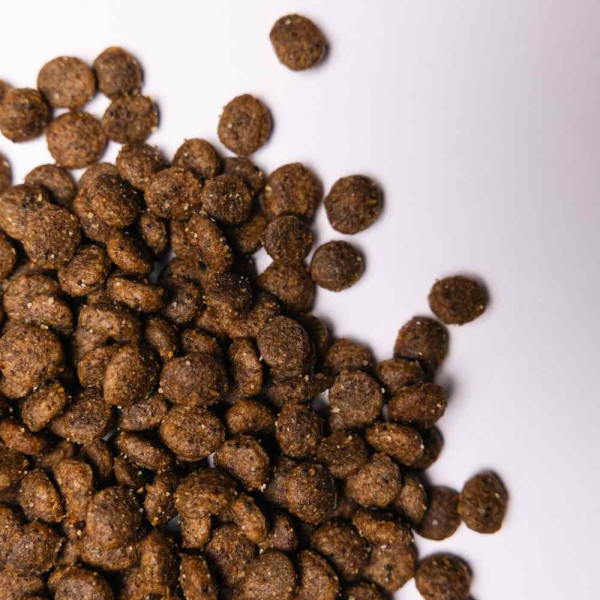 Сухий корм для собак Savory Small Breed Fresh 3 кг - індичка та ягня