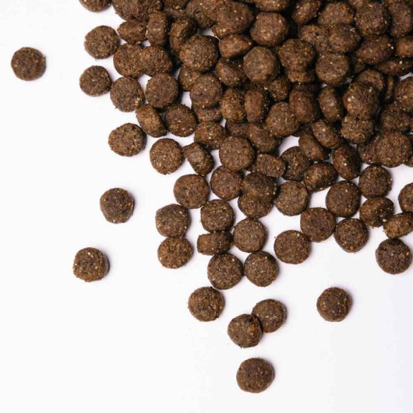 Сухий корм для собак Savory Medium Breed Fresh 1 кг - індичка та ягня