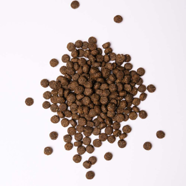 Сухий корм для собак Savory Medium Breed Fresh 1 кг - індичка та ягня