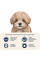 Сухий корм для цуценят Home Food Hypoallergenic Mini Puppy 700 г - ягня з рисом