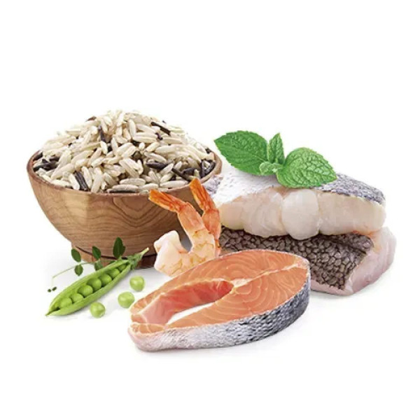 Сухий корм для собак Home Food Maxi Adult 10 кг - форель і рис