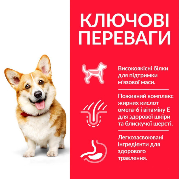 Hills SCIENCE PLAN Adult Small & Mini Сухий корм для собак з ягнятком та рисом - 6 кг NEW