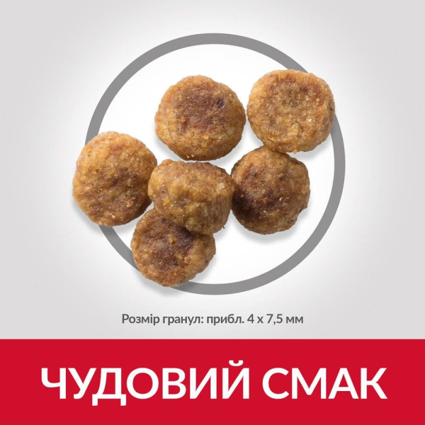 Hills SCIENCE PLAN Adult Small & Mini Сухий корм для собак з ягнятком та рисом - 6 кг NEW
