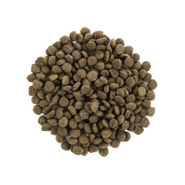 Сухий корм для собак Brit Care Grain Free Mini Adult 7 кг - ягня