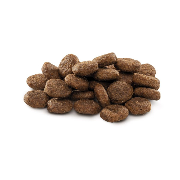 Сухий корм для цуценят Brit Premium Dog Junior L 3 кг - курка