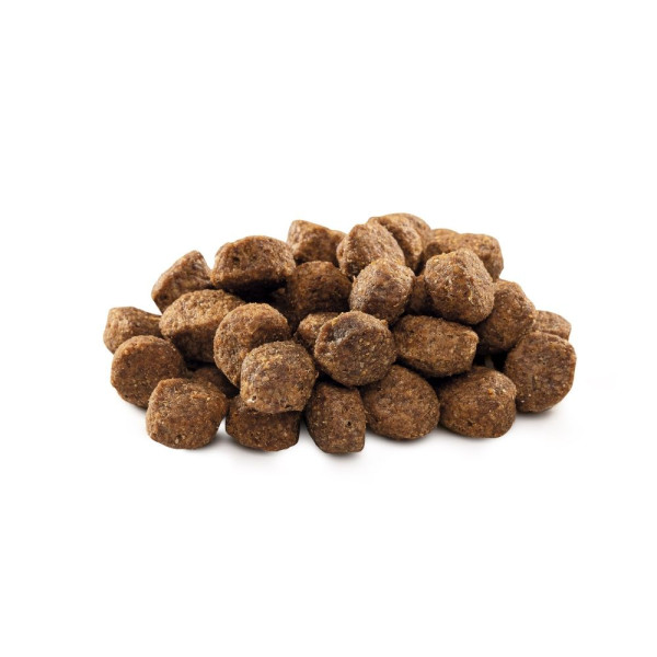 Сухой корм для собак Brit Premium Dog Senior S+M 3 кг - курица