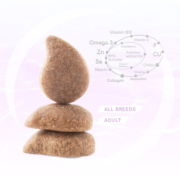 Сухий корм для собак усіх порід Optimeal Beauty Harmony із заспокійливим ефектом 1,5 кг (морепродукти)