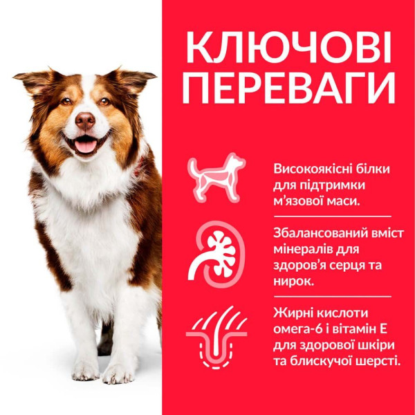 Сухий корм для собак Hill’s Science Plan Mature Adult 7+ Medium Breed 14 кг - курка