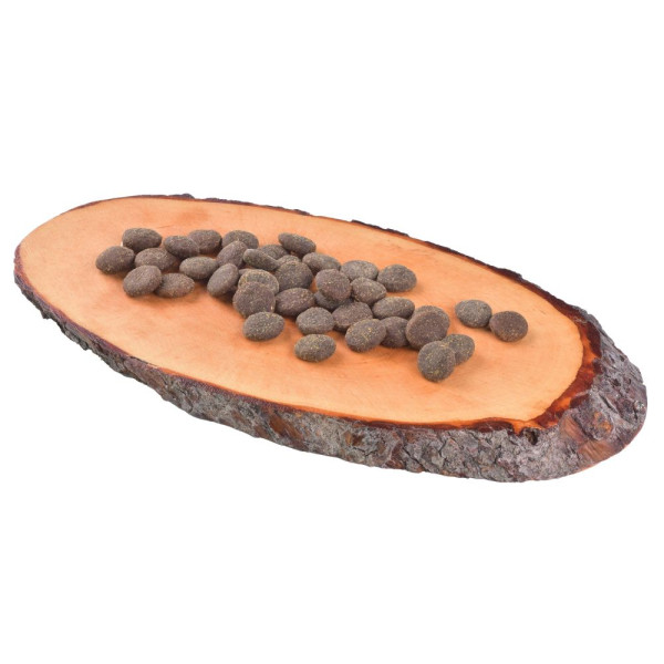 Сухий корм для дорослих собак усіх порід Carnilove True Fresh BEEF for Adult dogs 11,4 кг (яловичина)