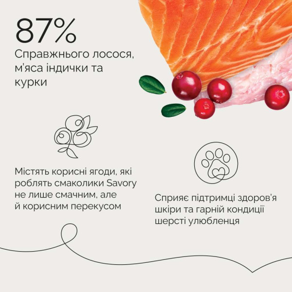 Ласощі Savory Bars With Salmon 100 г - лосось