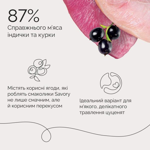 Ласощі Savory Puppy Coins With Turkey 100 г - індичка