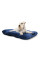 Матрац для котів та собак Pet Fashion Kevin 1 50х40х18 см - dgs