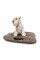 Матрац для котів та собак Pet Fashion Kevin 1 58х40х19 см - dgs