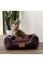 Лежак для собак Pet Fashion Molly 52х40х17 см - dgs