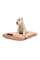 Матрац для котів та собак Pet Fashion Kevin 1 50х40х19 см