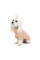 Светр для собак Pet Fashion Sam XXS