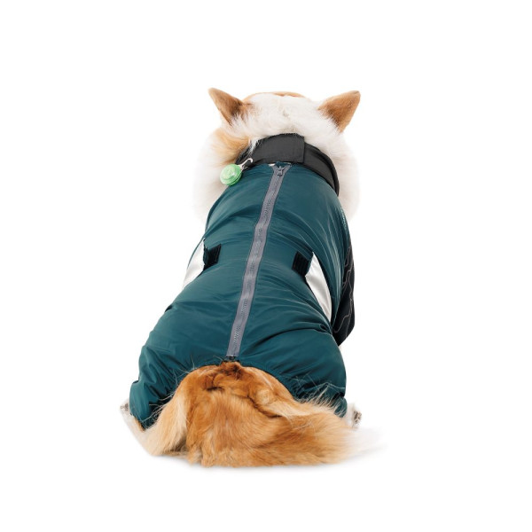 Комбінезон для собак Pet Fashion Den XS такса