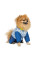 Костюм для собак Pet Fashion «Tender» S
