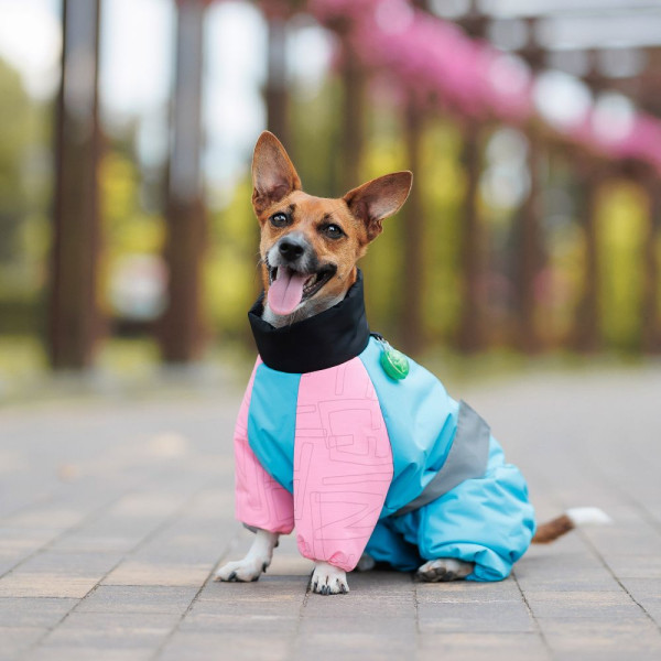 Комбінезон для собак Pet Fashion Milly XS такса
