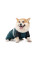 Комбінезон для собак Pet Fashion Den XS такса