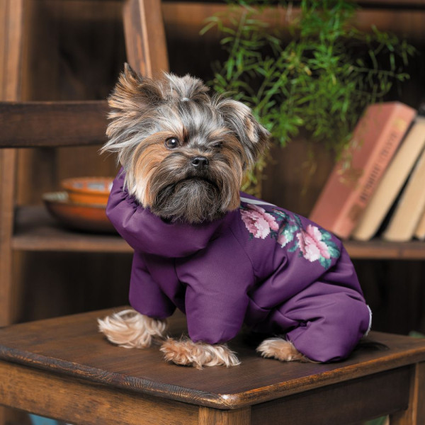Костюм для собак дівчинок Pet Fashion «Lola» S-2