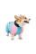 Комбінезон для собак Pet Fashion Milly XS такса