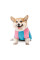 Комбінезон для собак Pet Fashion Milly XS такса