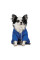 Костюм для собак Pet Fashion «Zhan» XS