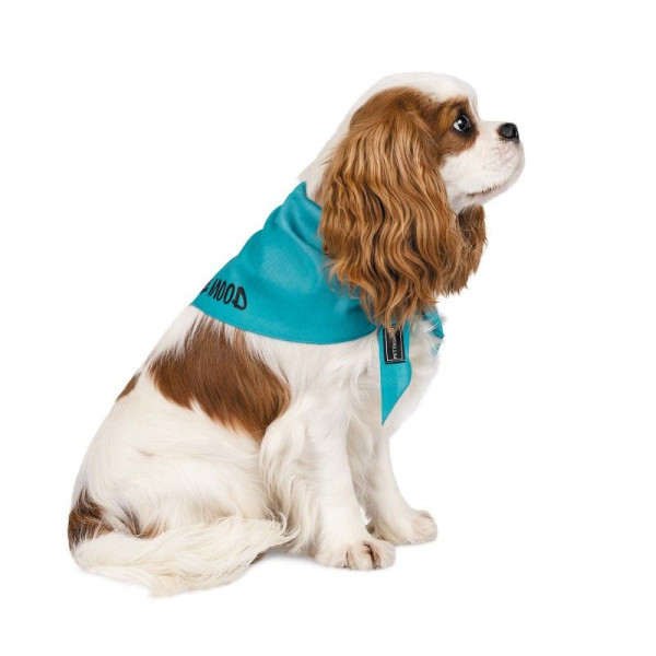 Бандана для собак Pet Fashion «WEEKEND» M-L