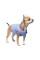 Бомбер для собак Pet Fashion «Spike» XS