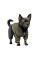 Дощовик для собак Pet Fashion «Jimi» XS-2