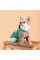 Дощовик для собак Pet Fashion Semmy XS