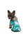 Дощовик для собак Pet Fashion Semmy XS
