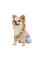 Дощовик для собак Pet Fashion Tina XS