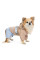 Дощовик для собак Pet Fashion Tina XS