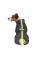 Дощовик для собак Pet Fashion Rain XS