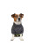 Дощовик для собак Pet Fashion Rain XS