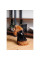 Дублянка для собак Pet Fashion Black ХS