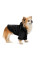 Дублянка для собак Pet Fashion Black ХS
