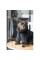 Дублянка для собак Pet Fashion Black ХS