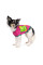 Футболка для собак Pet Fashion «Yes» XS-2 (малинова)