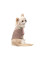 Футболка для собак Pet Fashion Rose XS