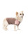 Футболка для собак Pet Fashion Rose XS