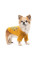 Кардиган для собак Pet Fashion Denis XS