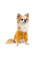 Кардиган для собак Pet Fashion Denis XS