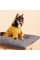 Кардиган для собак Pet Fashion Denis XS